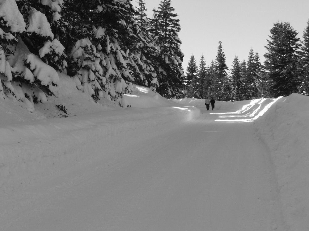 Photograph by Cengiz Yalcin