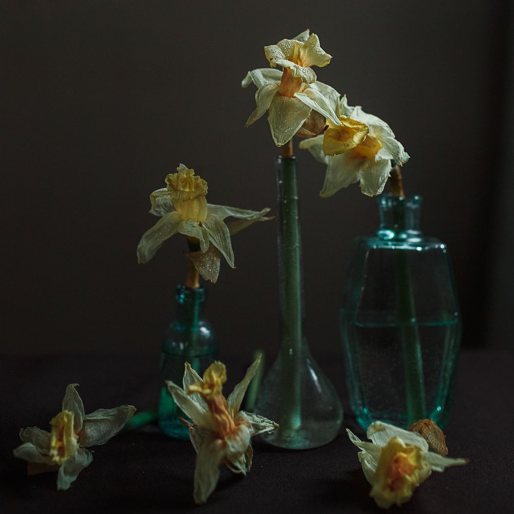 Photograph by Ирина Платонова