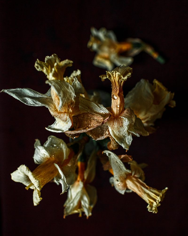 Photograph by Ирина Платонова