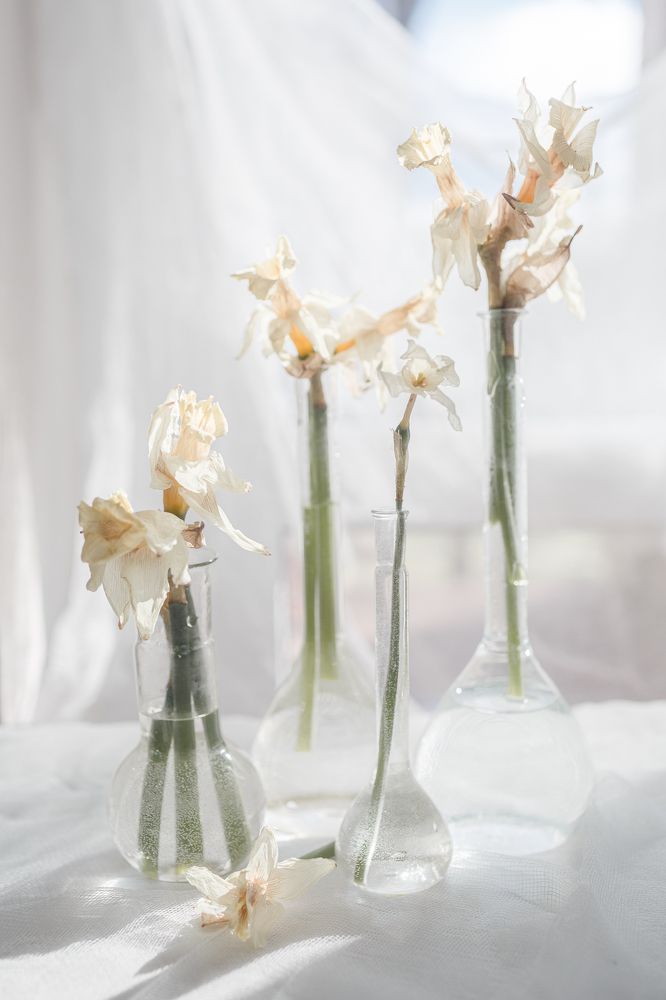 Photograph by Ирина Платонова