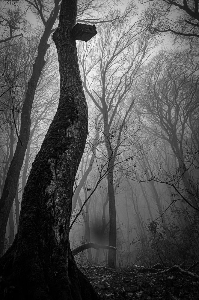 Photograph by Вячеслав Смеликов