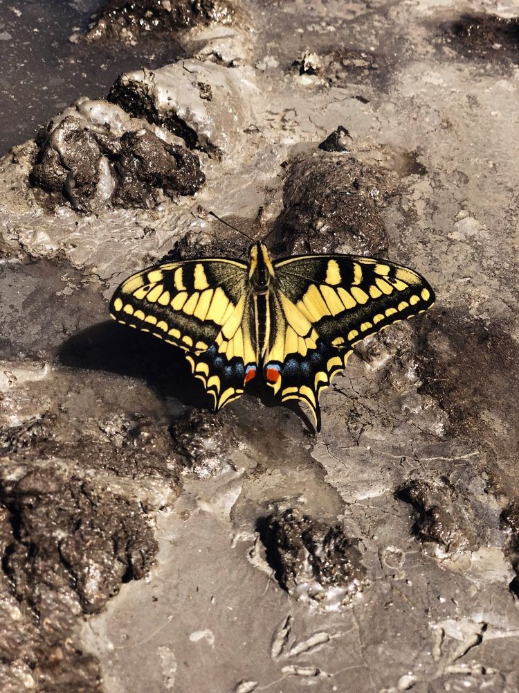 Photograph by Людмила Евстратова