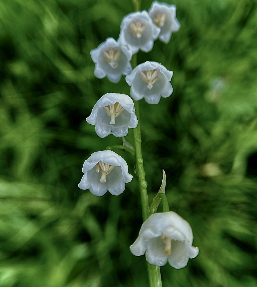 Photograph by Екатерина