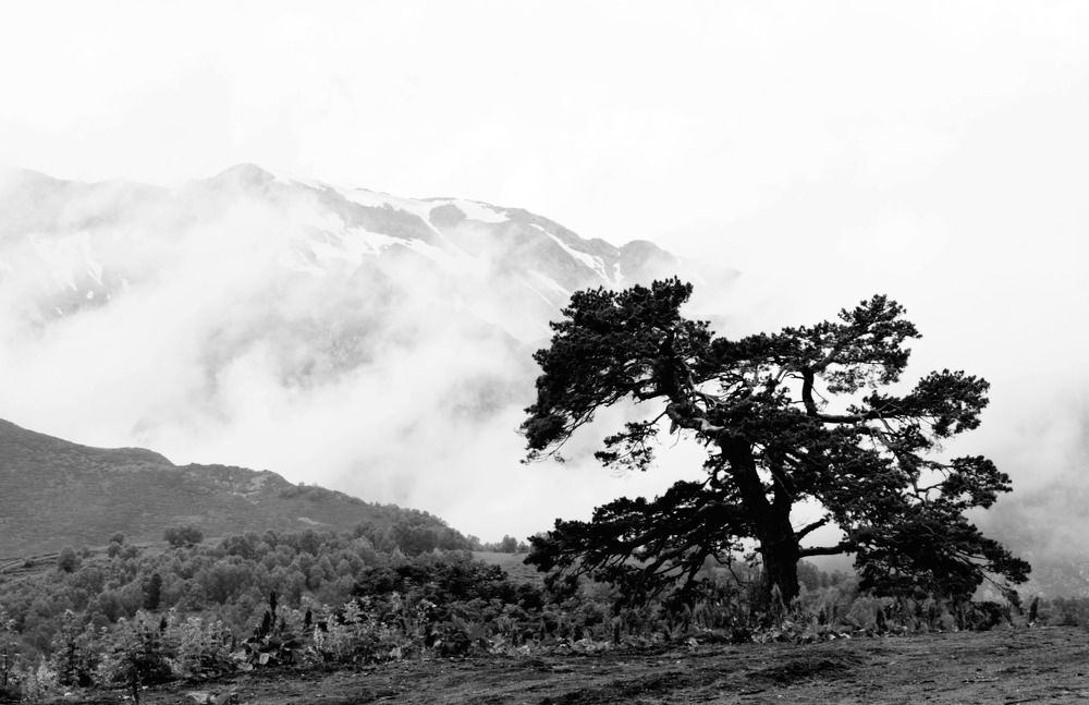 Фотография автора Татьяна Нарайкина