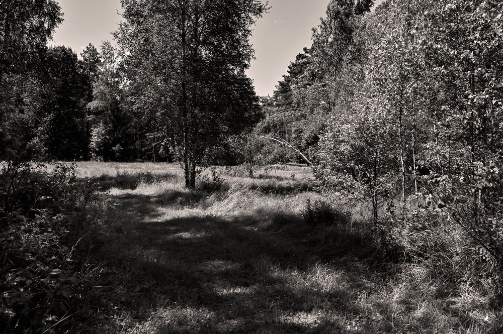 Photograph by Юлия Лис-а