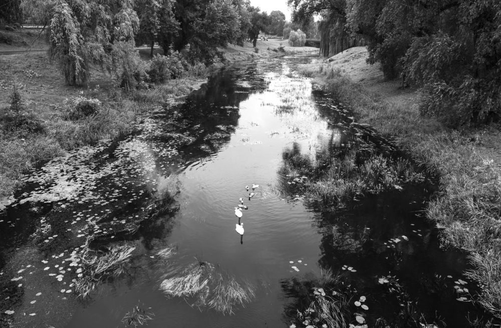 Photograph by Юлия Лис-а