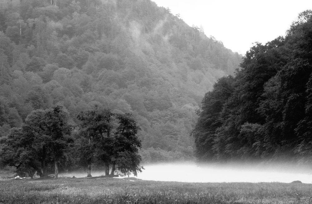 Фотография автора Татьяна Нарайкина