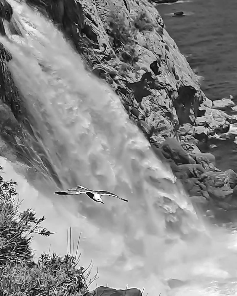 Photograph by Любовь Войтишина