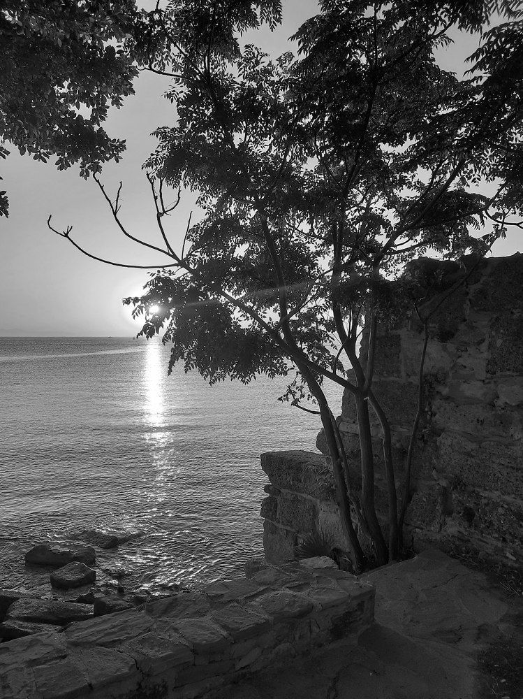 Photograph by Любовь Войтишина