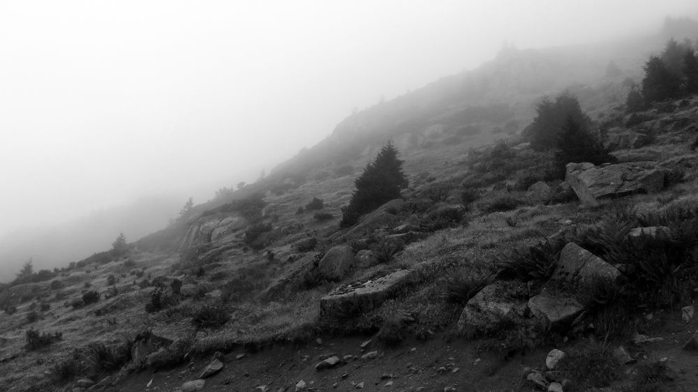 Photograph by Buket Demirel