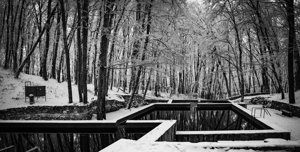 Photograph by Вячеслав Смеликов