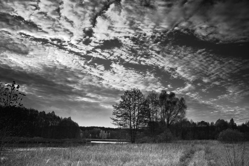 Фотография автора Елена Запертова