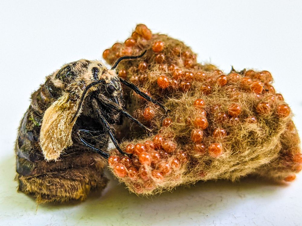 Photograph by Vaishnav K V