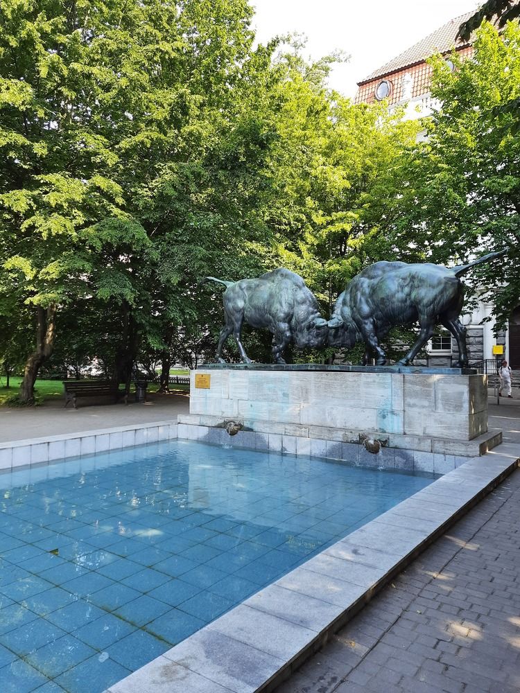 Photograph by Наталья Ткаченко