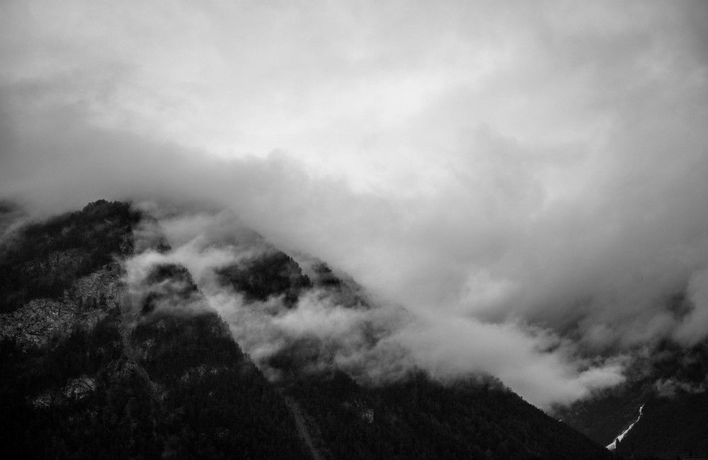 Photo #7823107