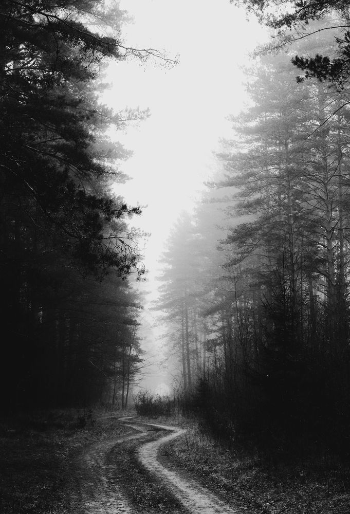 Photograph by Ольга Еженевская