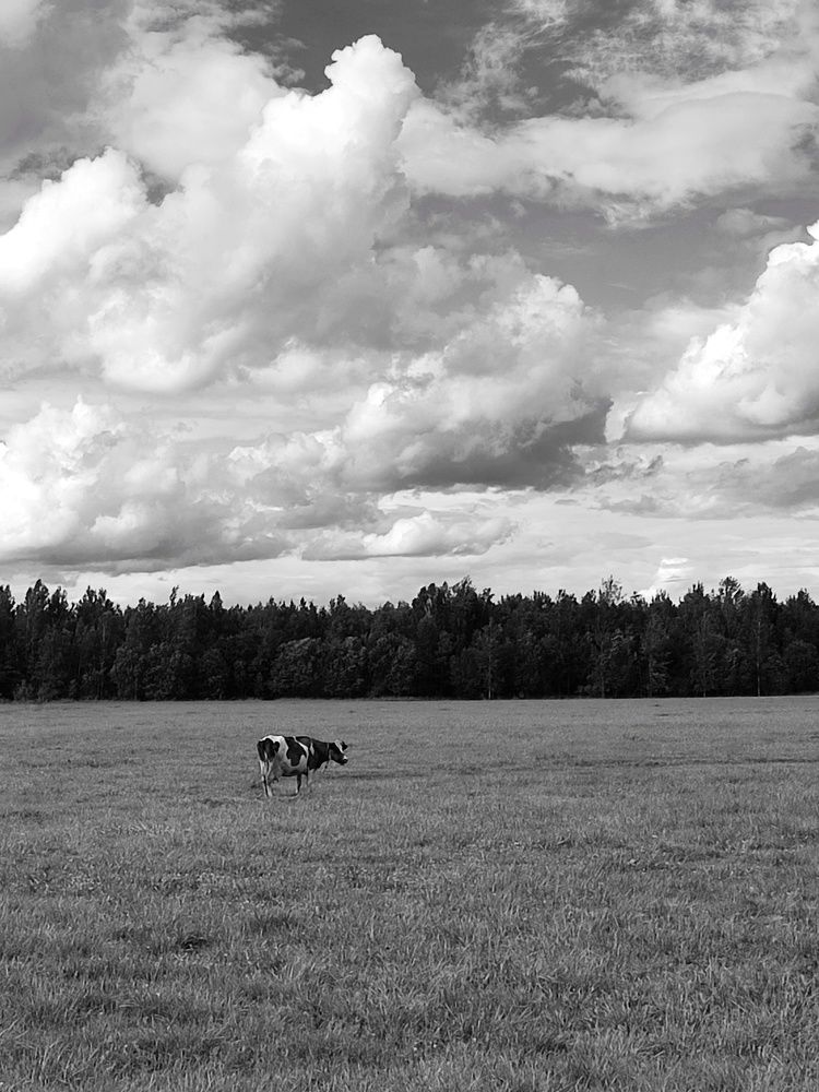 Photograph by Ольга Сучкова