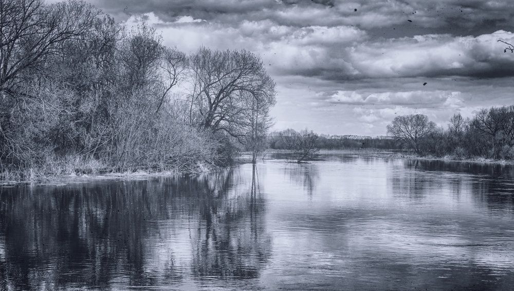 Photograph by Елена Пасажицкая