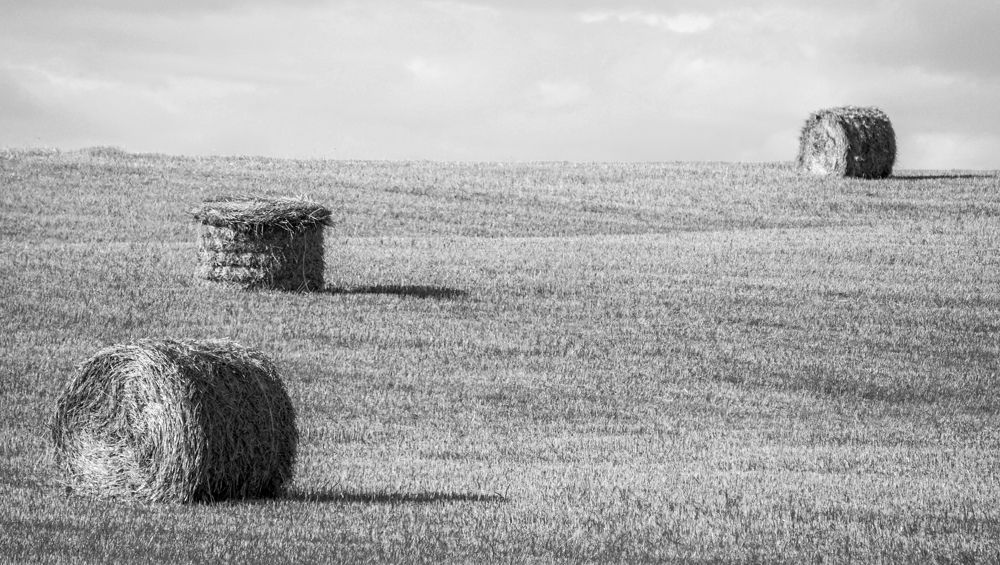 Photograph by Елена Пасажицкая