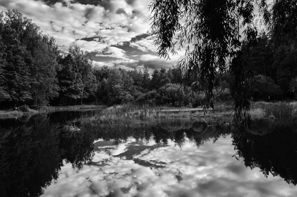 Photograph by Nick Black
