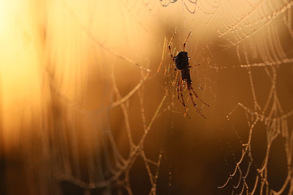 Photograph by Виктор