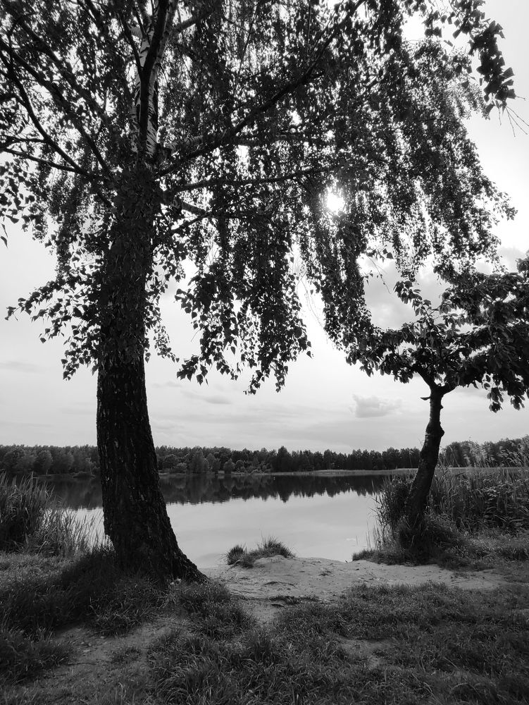 Photograph by Ольга Сучкова