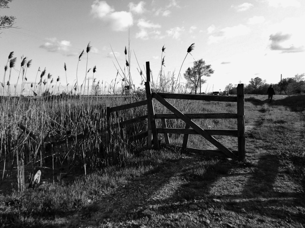 Photograph by Анна Матецкая