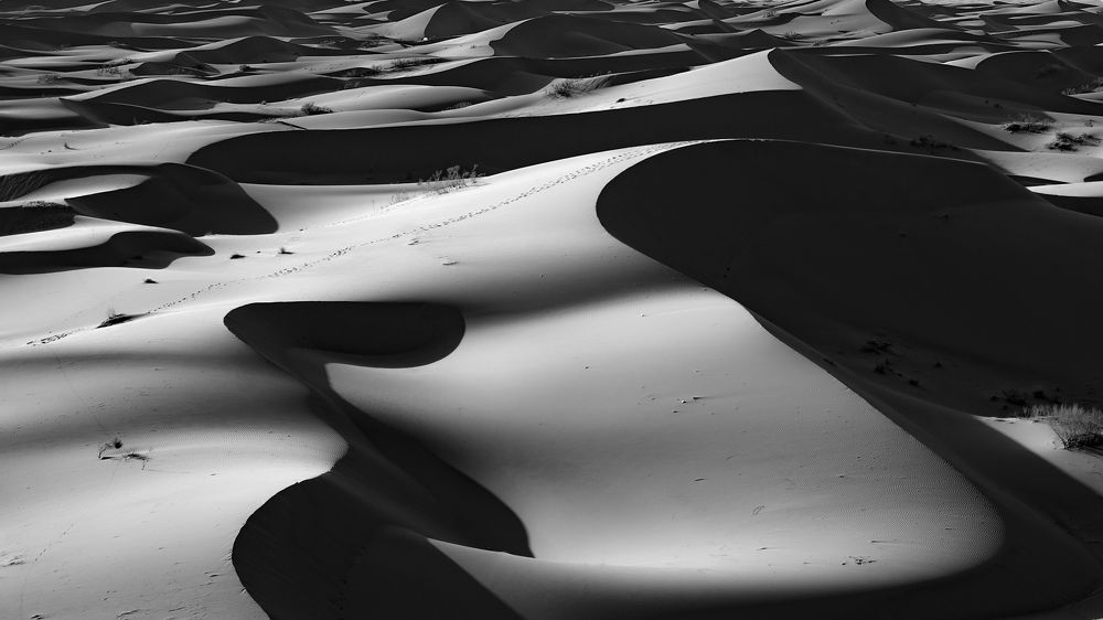 Photograph by Reza Mohammadi