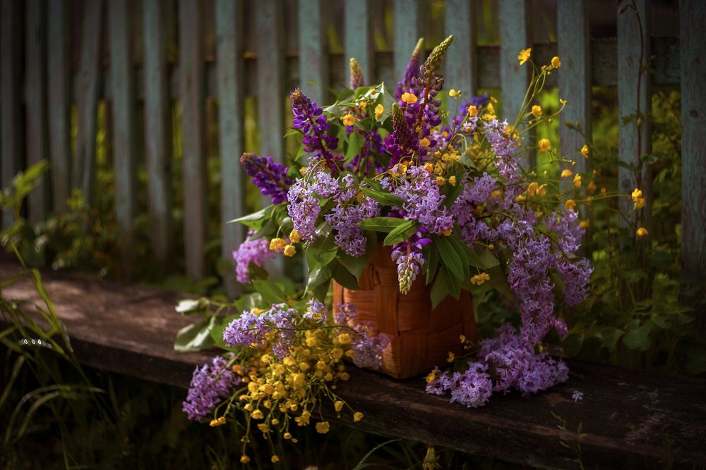 Photograph by Марина Мурашова