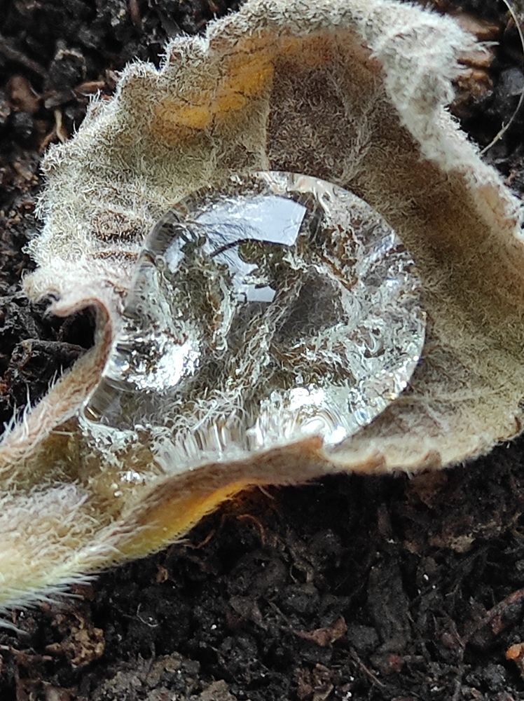 Photograph by Яна Сиволобова