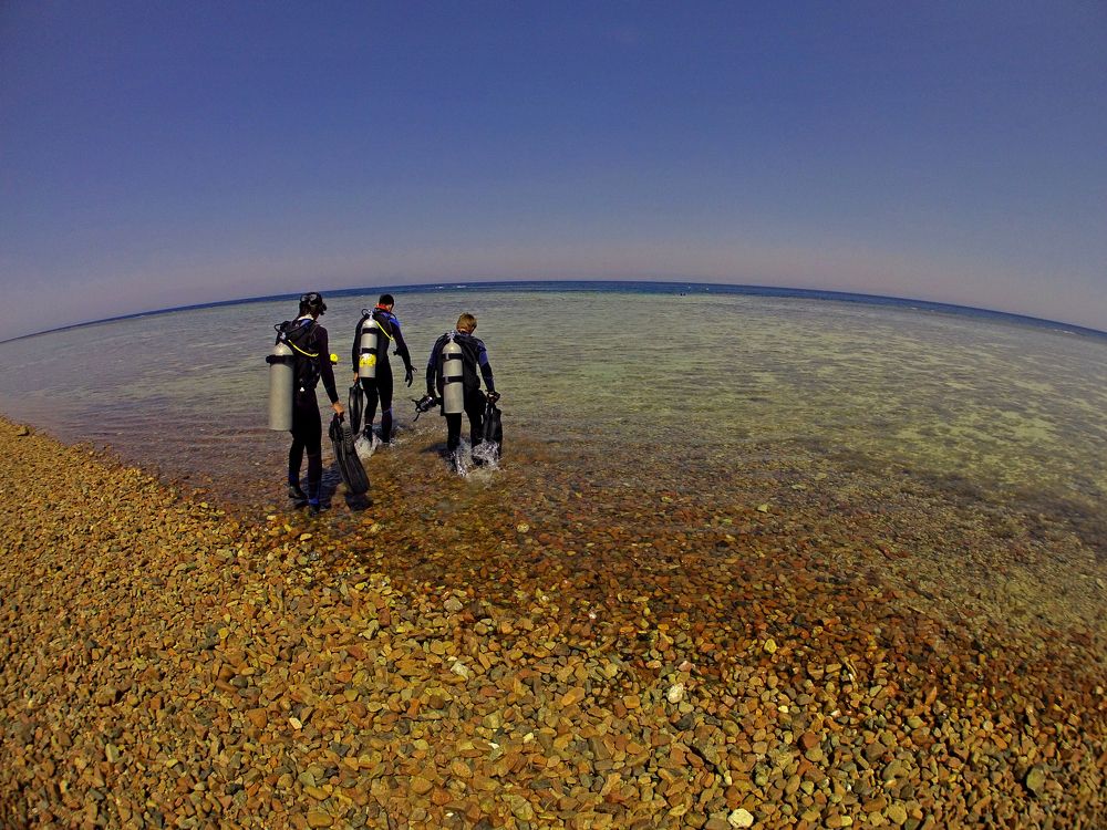 Photograph by Алексей Амилющенко