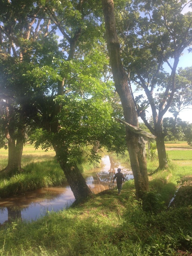 Man with Trees and River