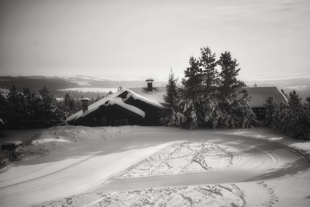 Photograph by Kira Bahvalova