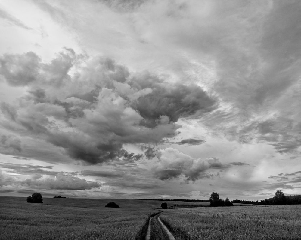 Photograph by Ольга Третьякова