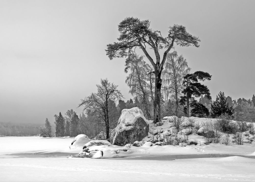 Photograph by Шутов Владимир