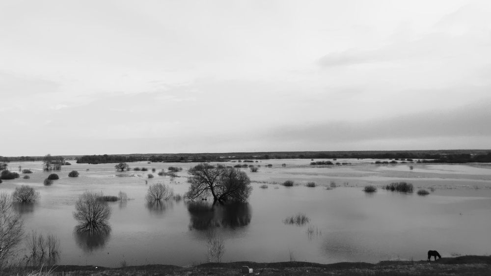 Photograph by Александр Поздняков