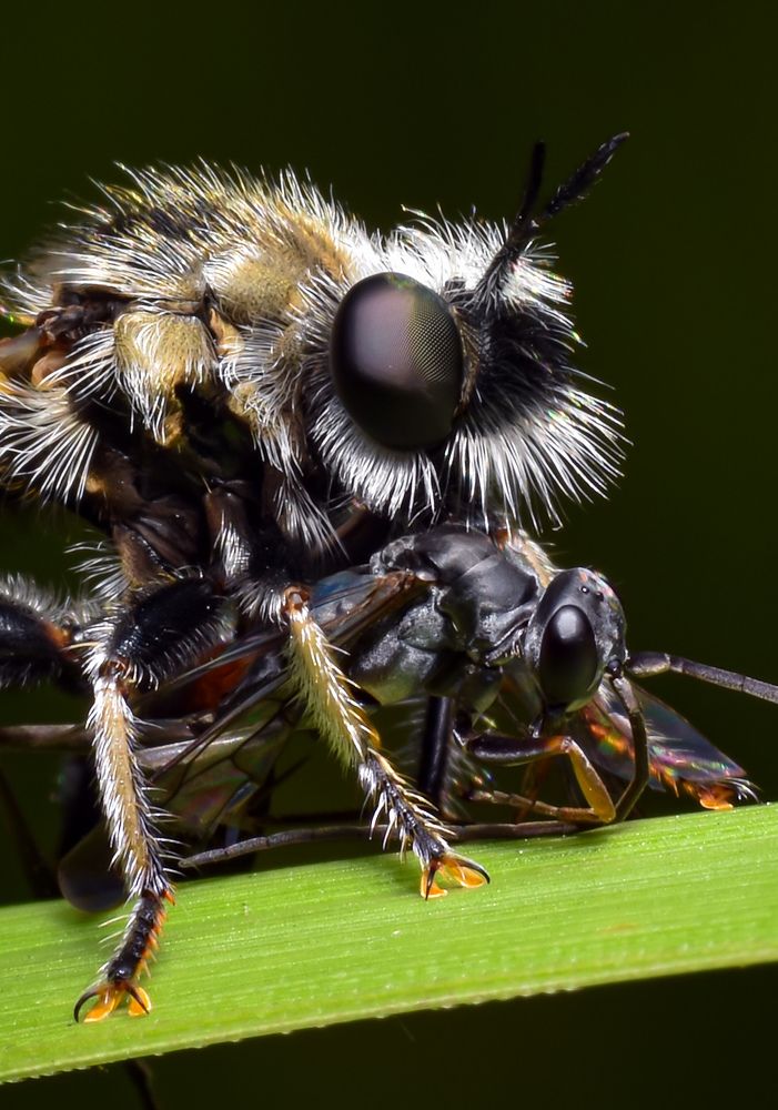 Photograph by Biswanath Chaki