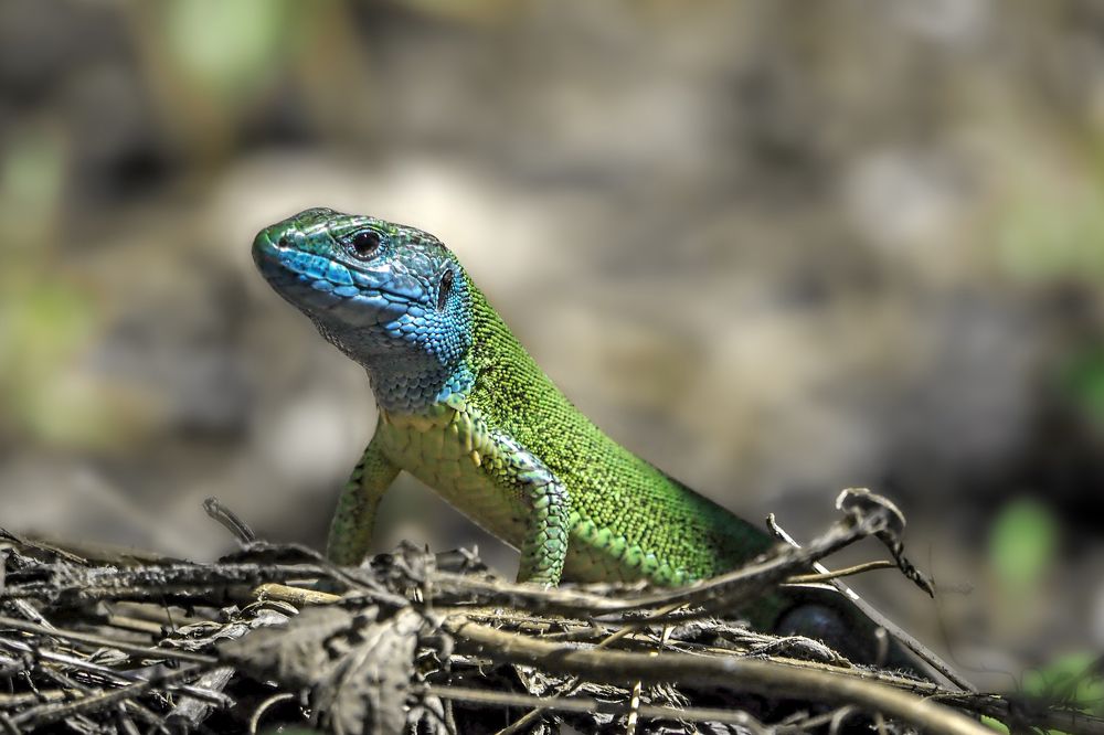 Photograph by Yana Marinova