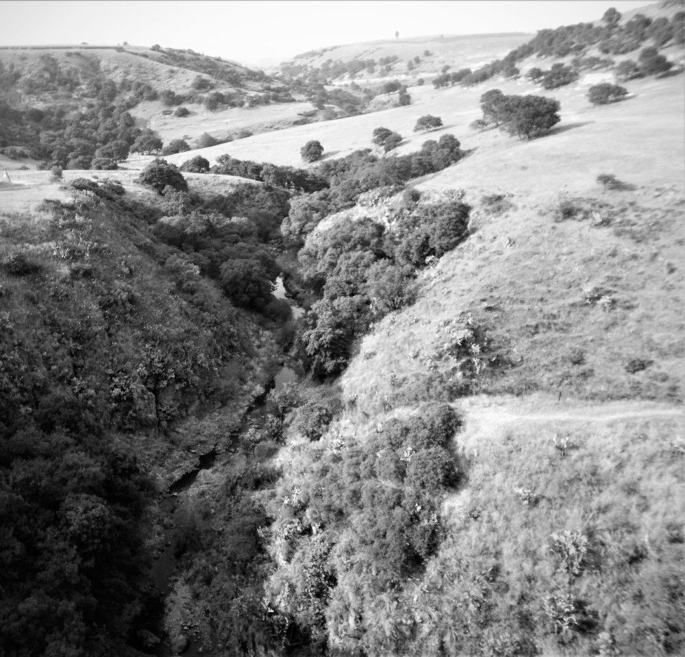 Photograph by José Luis Mendoza Machado