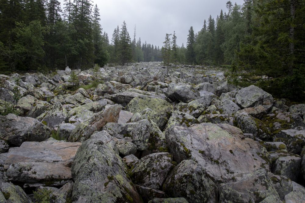 Photograph by Evgeny Pyatkov