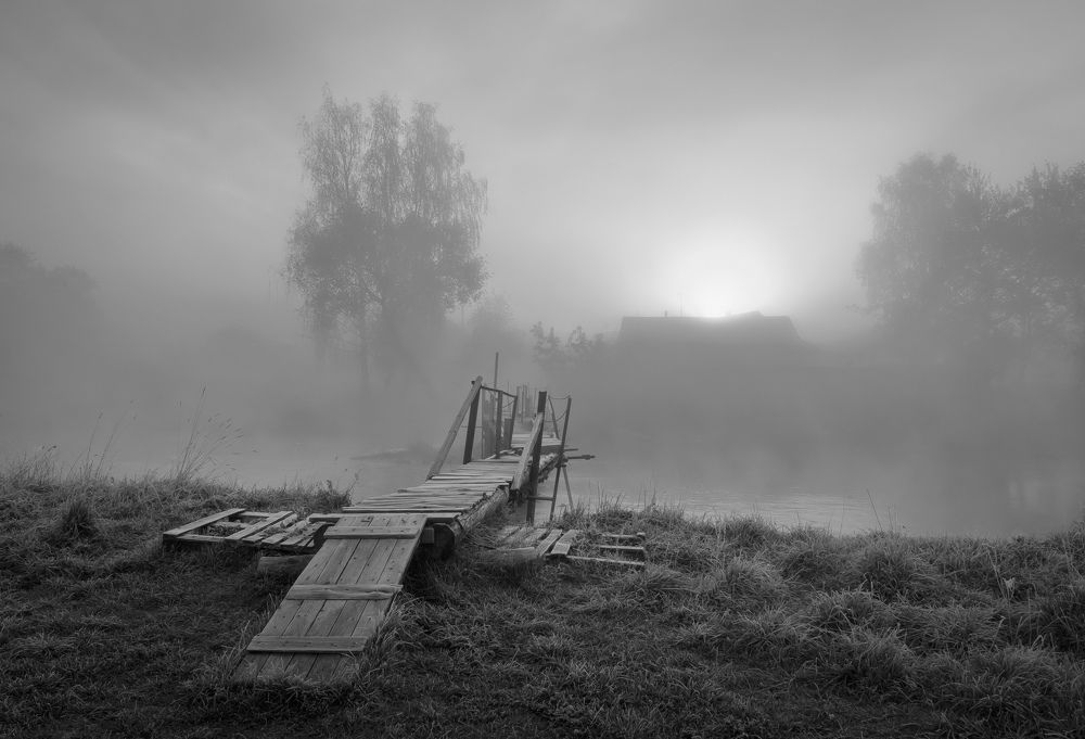 Photograph by Александр Гвоздь