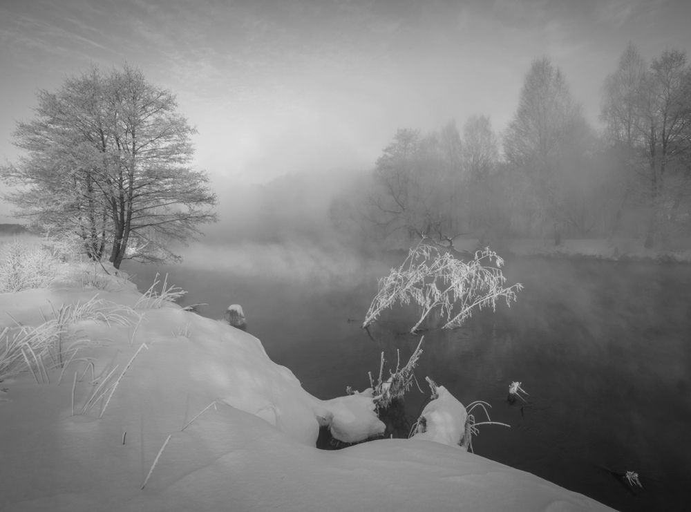 Photograph by Александр Гвоздь