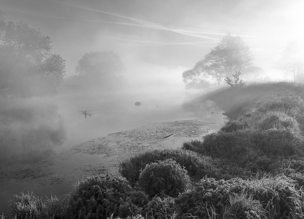 Photograph by Александр Гвоздь