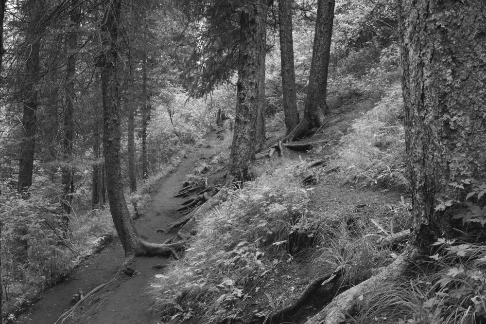 Photograph by Лия Яковлева