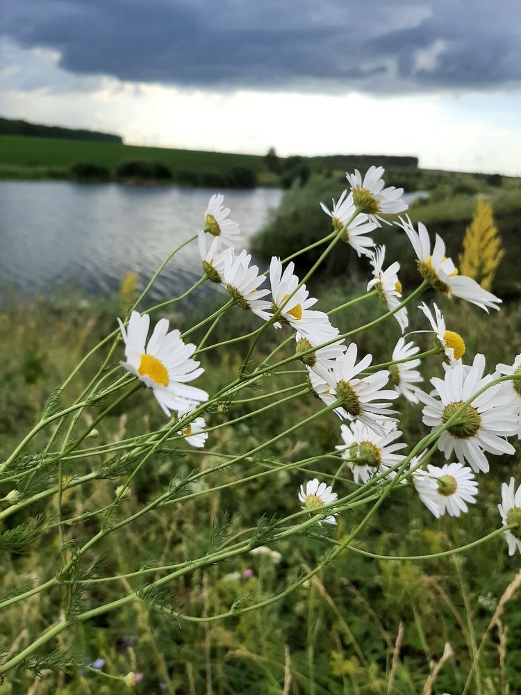 Photograph by Elena Goreva