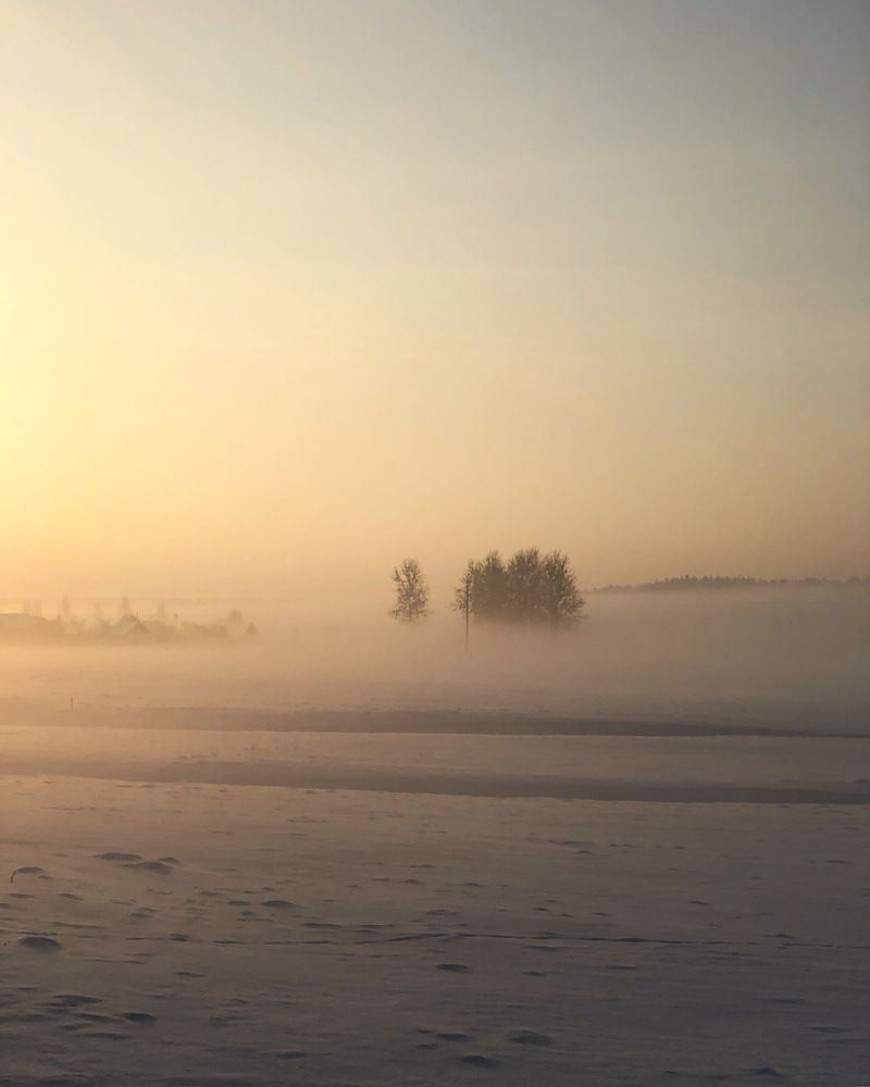 Photograph by Лариса Акинчиц