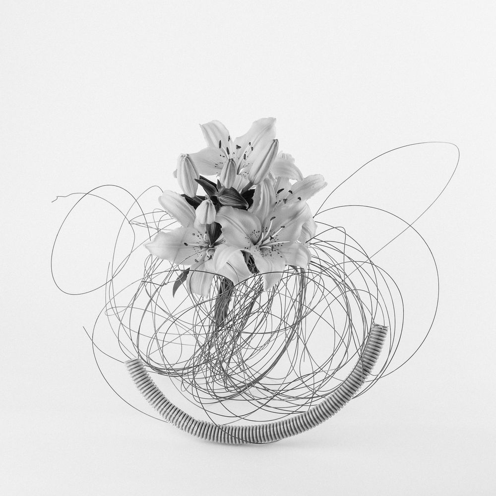 Photograph by Ольга Козлова