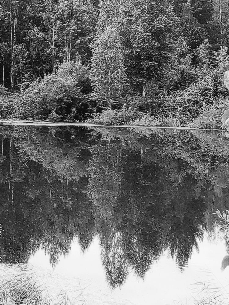 Photo #7823901