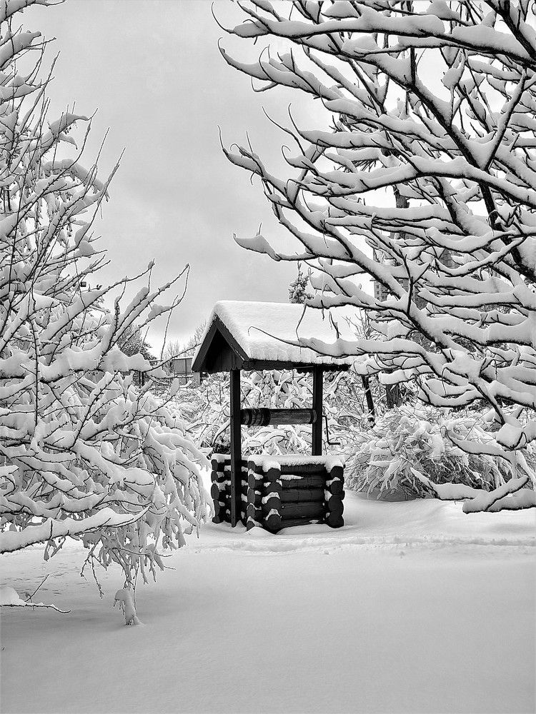 Фотография автора Ольга Игуменова