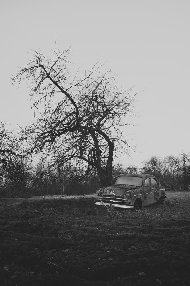 Photograph by Андрей Барабанов